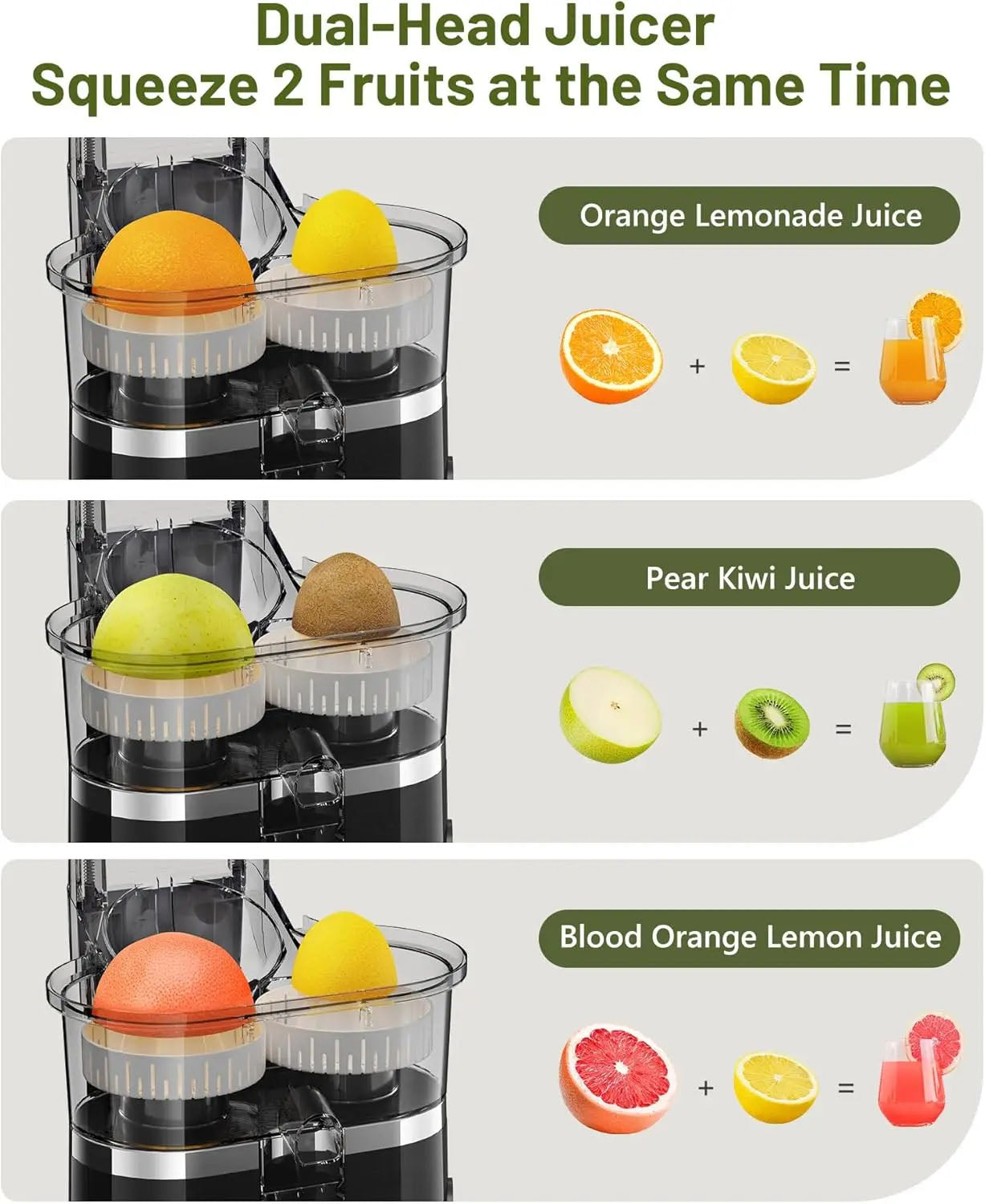 Dual Head Electric Juicer